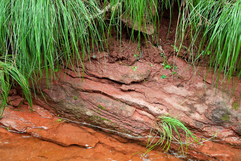 Red Stone, Green Grass