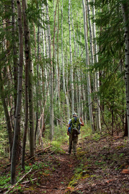 Marta-Amongst-The-Aspens