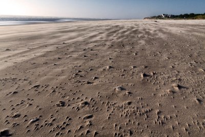 Sand Swept Beach
