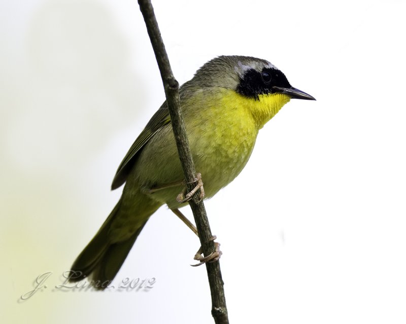 _18C6752.jpg