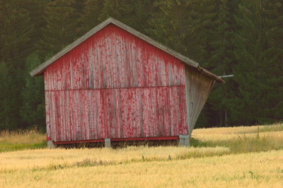 Red (once) barn