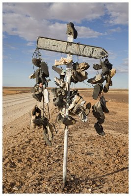 The Shoe Tree