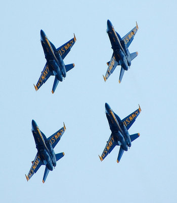 g4/91/609291/3/64566708.fdAfDpnx.jpg