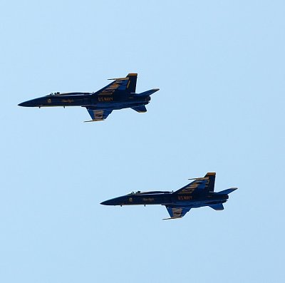 g4/91/609291/3/64566719.945d6QB6.jpg