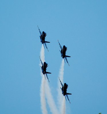 g4/91/609291/3/64586789.ItW26JCQ.jpg