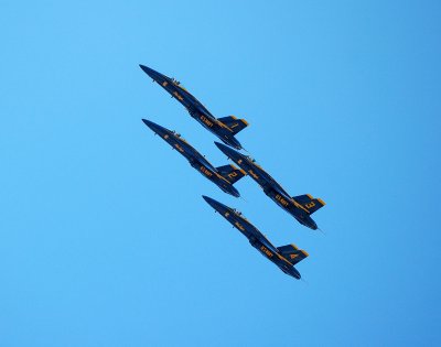 g4/91/609291/3/64627304.f228grNO.jpg