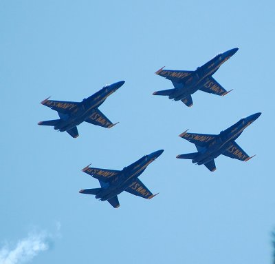 g4/91/609291/3/64627305.54gVbIgY.jpg