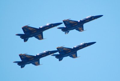 g4/91/609291/3/64627306.wxOTMiCb.jpg