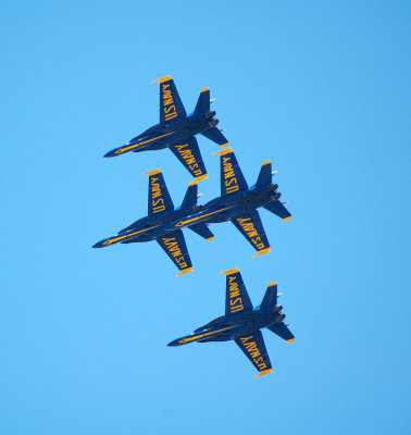 g4/91/609291/3/64627309.tZfKO6ai.jpg