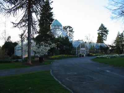 Seymour Botanical Conservatory