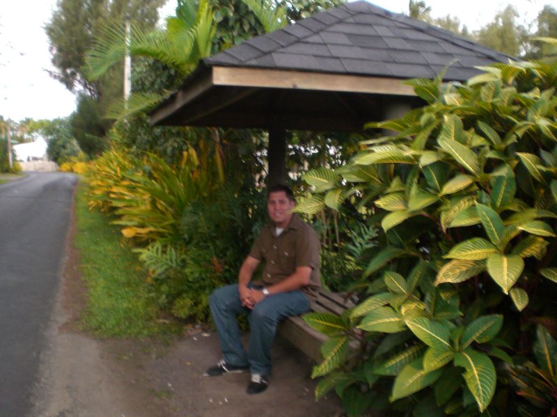 Waiting for the hourly clockwise Raro by Night bus