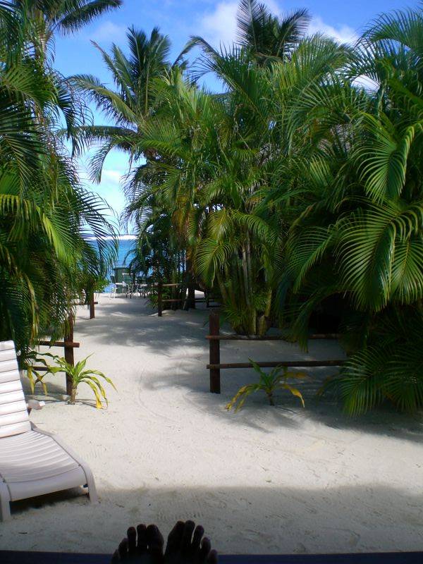 The view from our porch