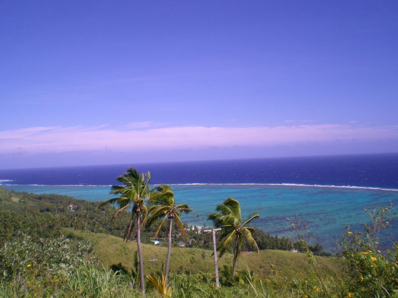 View from the top of Maungapu