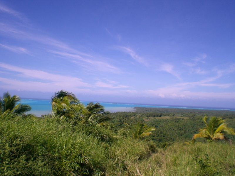 View from the top of Maungapu