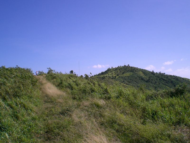 View back up Maungapu