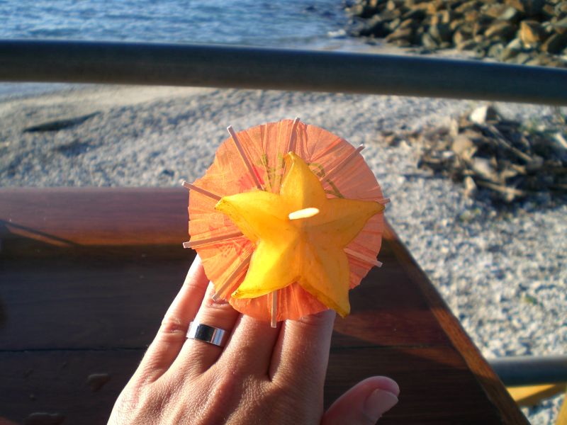 Star fruit (not as tasty as pawpaw)