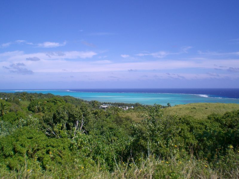 View from the water tower