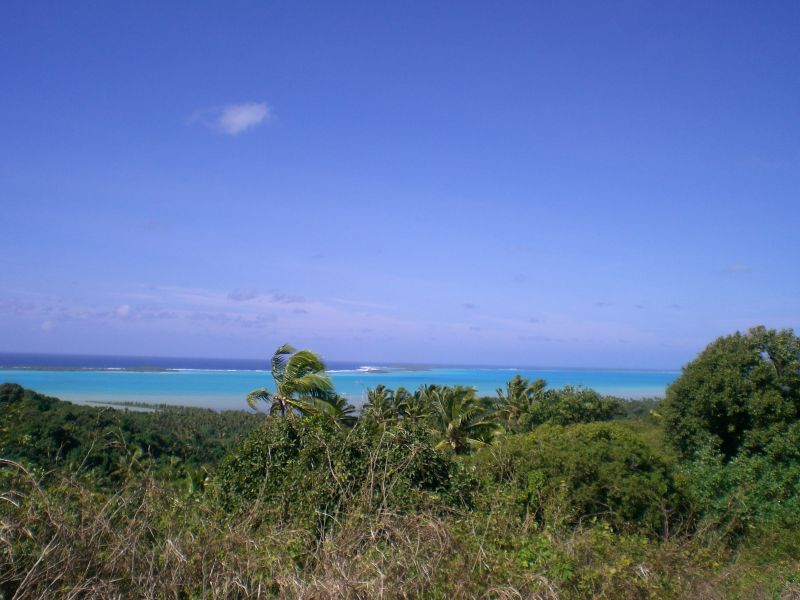 View from the water tower