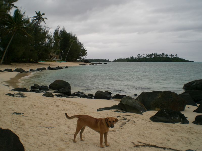 Walking toward Muri beach