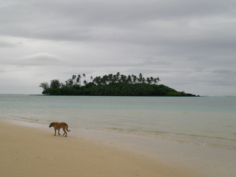 Taakoka motu