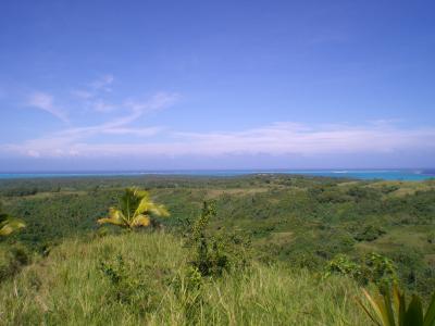 View from the top of Maungapu