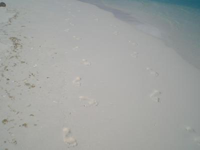 Our footprints
