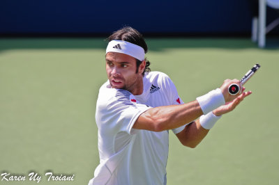 US Open 2009-007.jpg