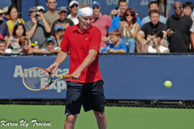 US Open 2009-082.jpg