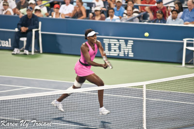 US Open 2009-685.jpg