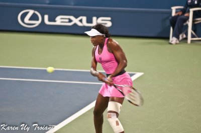 US Open 2009-692.jpg