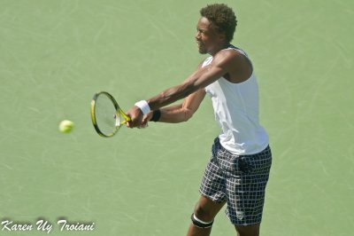 US Open 2010-031.jpg