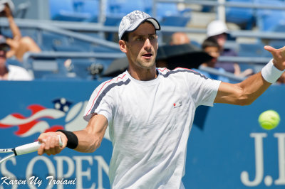 US Open 2010-111.jpg