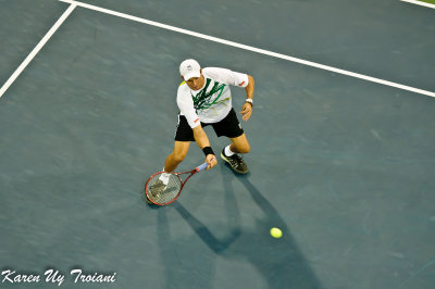 US Open 2010-144-2.jpg