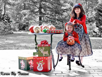 Holiday 2011 -234December 04, 2011-Edit_LR.jpg
