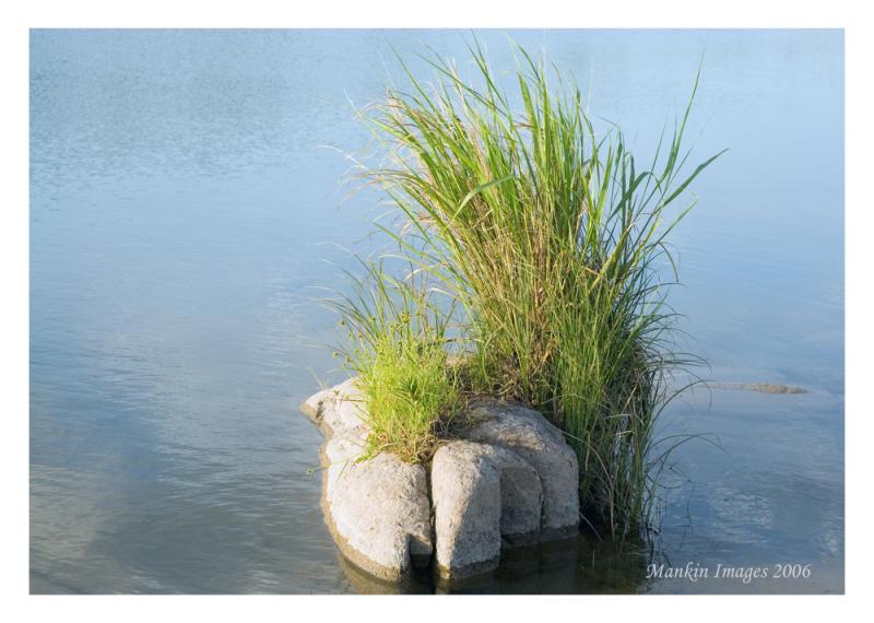 Stone & grass, Llano River