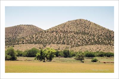 Pasture hills, Mescalero Apache Reservation, NM