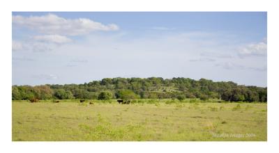 Pasture hill, Georgetown