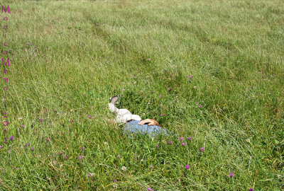 Falling asleep in the tall grass