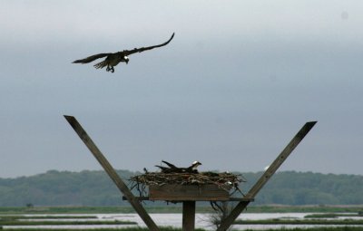 IMG_2346.JPG