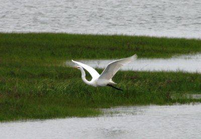 IMG_2424.JPG