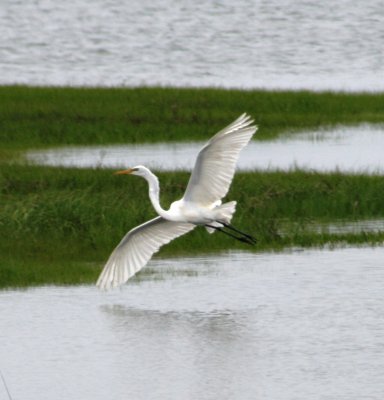 IMG_2430.JPG