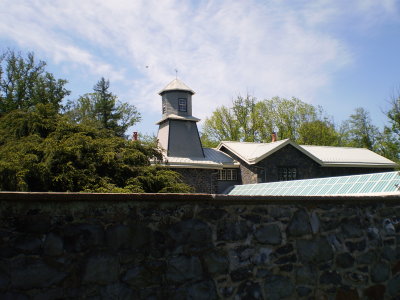 P5180043.JPG