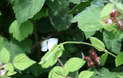 IMG_2709.JPG