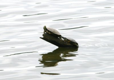 IMG_3026a.jpg