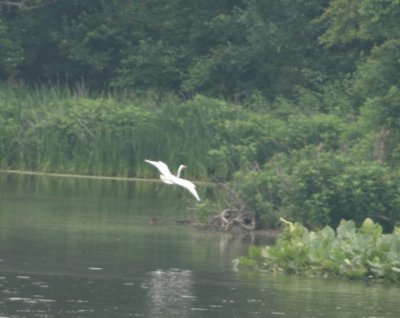IMG_3059a.jpg