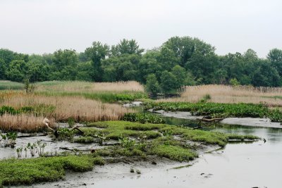 IMG_3116.JPG