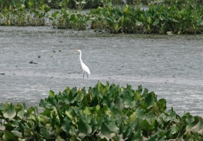 IMG_3135a.jpg