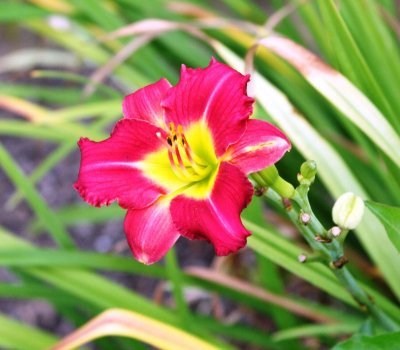 136679996_F5qZUE57.jpg