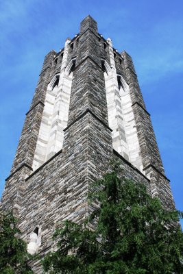 IMG_0021.JPG