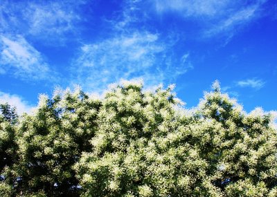 IMG_9852.JPG